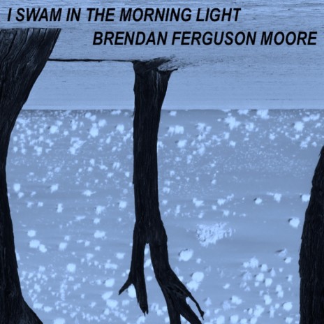 I Swam in the Morning Light | Boomplay Music