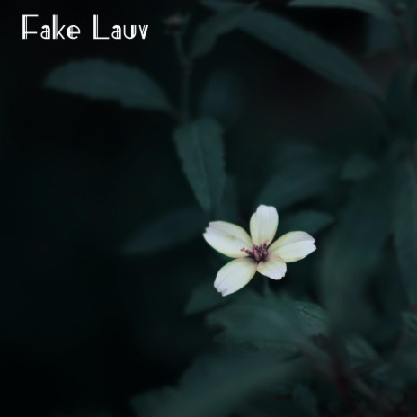 Fake Lauv | Boomplay Music