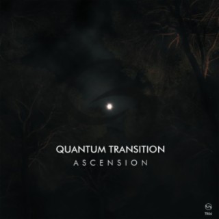 Quantum Transition