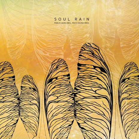 Soul Rain (Paco Osuna Remix) | Boomplay Music