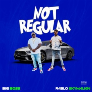 Not Regular (feat. Pablo Skywalkin)