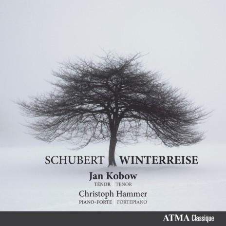 Schubert: Winterreise, D. 911: Wasserflut ft. Christoph Hammer | Boomplay Music