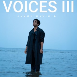 Voices, Vol. 3