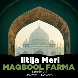 Iltija Meri Maqbool Farma Lofi