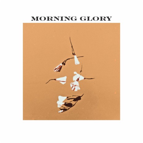 Morning Glory | Boomplay Music