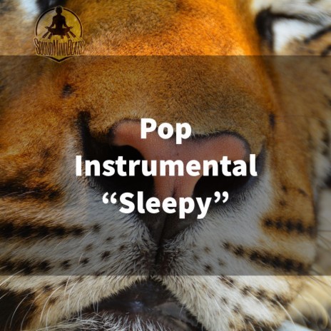 Sleepy | Boomplay Music