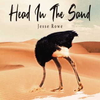 Head In The Sand