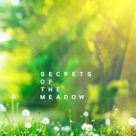 Secrets of The Meadow | Boomplay Music