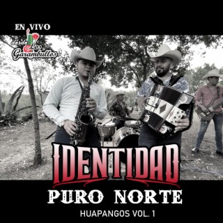 Puro Norte Huapangos, Vol. 1 (En vivo)