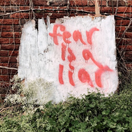 fear is a liar | Boomplay Music