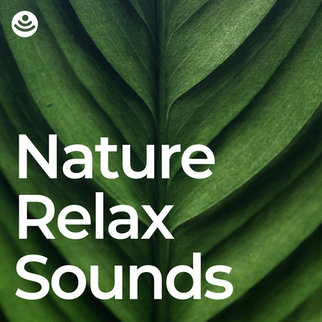 Nature Sounds for Stress Relief (No Fade, Loopable) ft. Forest Sounds For Relaxation & Organic Nature Sounds | Boomplay Music