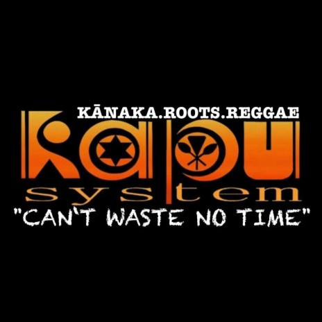 Canʻt Waste No Time | Boomplay Music