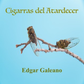 Cigarras del Atardecer