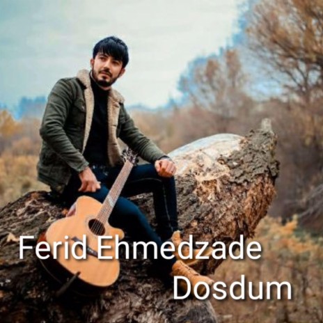 Dostum | Boomplay Music
