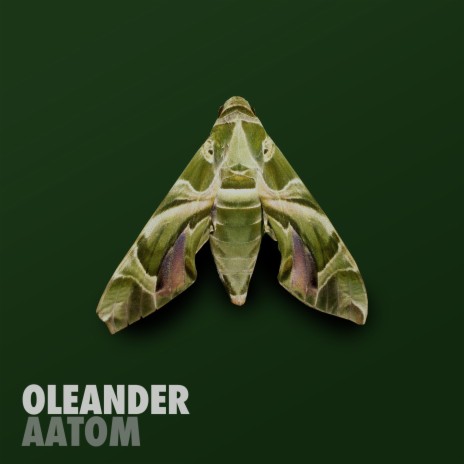 Oleander | Boomplay Music