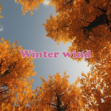 Winter wind