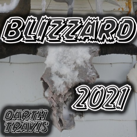 blizzard 2021 VI