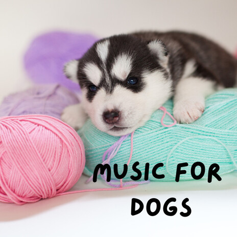 Inner Puppy Peace ft. Music For Dogs Peace, Relaxing Puppy Music & Calm Pets Music Academy | Boomplay Music