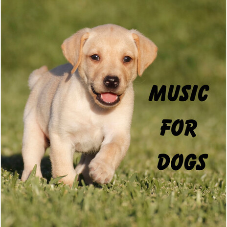 Sign of Relief ft. Music For Dogs Peace, Relaxing Puppy Music & Calm Pets Music Academy | Boomplay Music