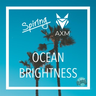 Ocean Brightness (feat. AXM)