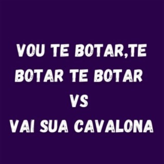 VOU TE BOTAR,TE BOTAR TE BOTAR VS VAI SUA CAVALONA