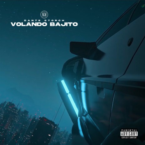 Volando Bajito | Boomplay Music