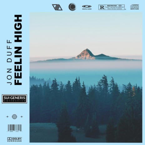 Feelin High ft. Sui Generis Collective | Boomplay Music