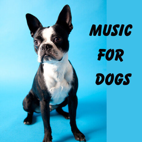 Ambient Night ft. Music For Dogs Peace, Relaxing Puppy Music & Calm Pets Music Academy | Boomplay Music