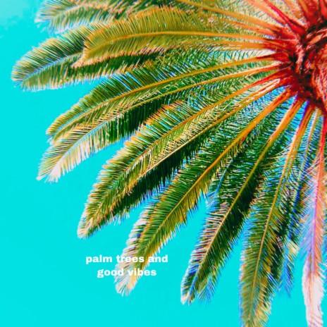 palm trees and good vibes | Boomplay Music