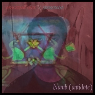 Numb (Antidote)