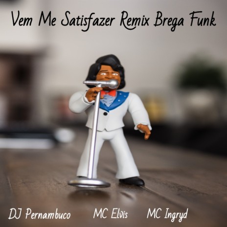 Vem Me Satisfazer Remix Brega Funk ft. MC Elvis & MC Ingryd | Boomplay Music