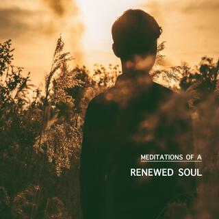 Meditations of a Renewed Soul