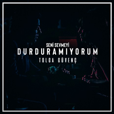 Seni Sevmeyi Durduramıyorum | Boomplay Music