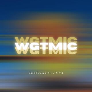 WGTMIC