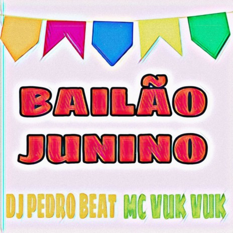BAILÃO JUNINO ft. MC VUK VUK