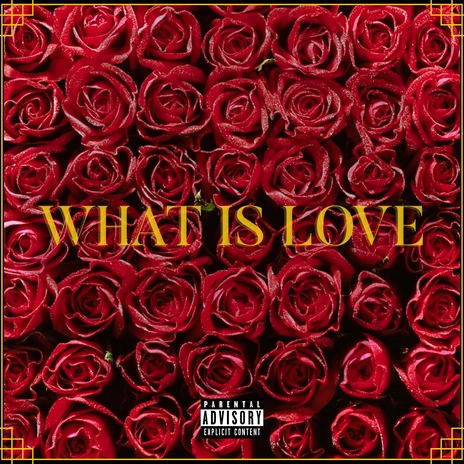 What is Love | Boomplay Music