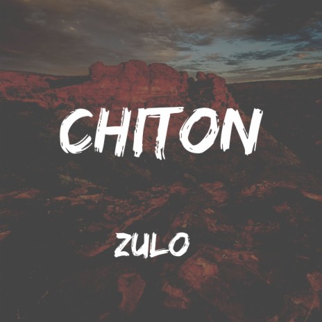 Chiton | Boomplay Music
