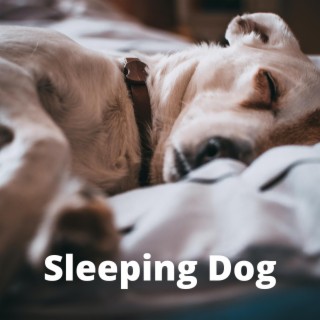 Sleeping Dog