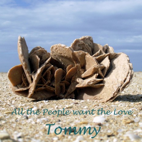 All the People want the Love | Boomplay Music