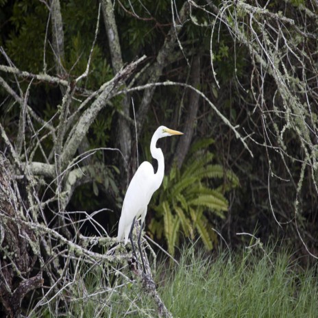 Wildlife Refuge