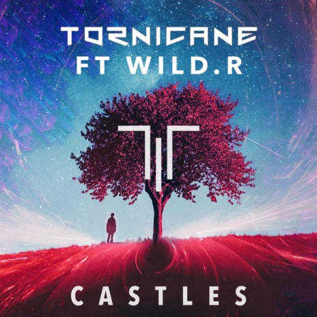 Castles (feat. WiLD.R) | Boomplay Music