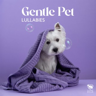 Gentle Pet Lullabies: Soothing Sounds to Calm Your Pet, Deep Sleep for Dogs and Cats, Anti- Stress Therapy