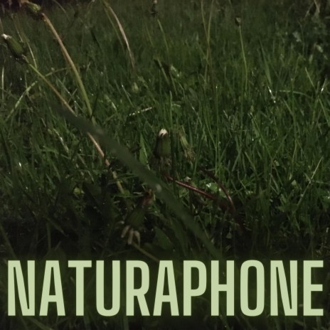 Naturaphone ft. Rob Van Der Made