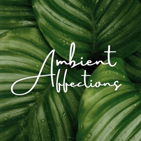 ambient affections | Boomplay Music