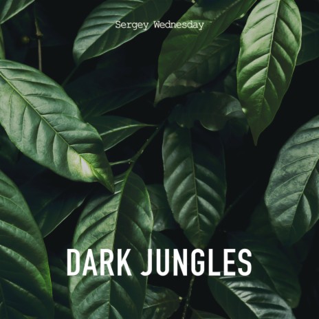 Dark Jungles (Only Percussion)
