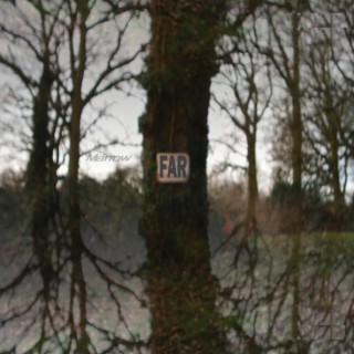 Far