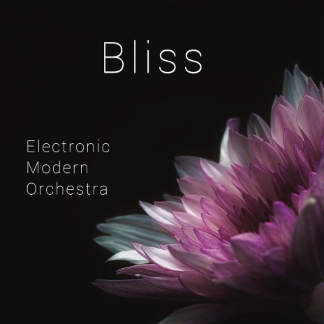 Bliss | Boomplay Music