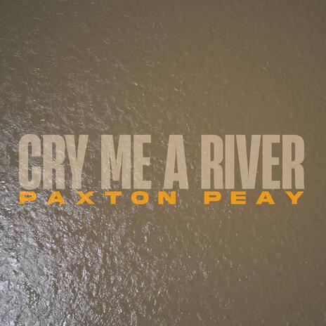 Cry Me A River | Boomplay Music