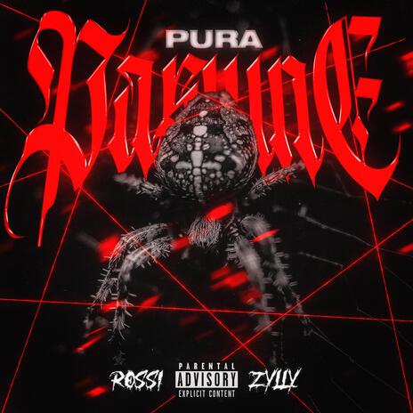 PURA PASIUNE ft. Zylly | Boomplay Music