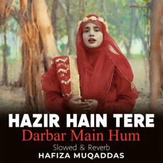 Hazir Hain Tere Darbar Main Hum Lofi